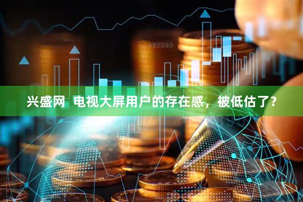 兴盛网  电视大屏用户的存在感，被低估了？