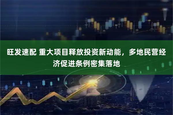 旺发速配 重大项目释放投资新动能，多地民营经济促进条例密集落地