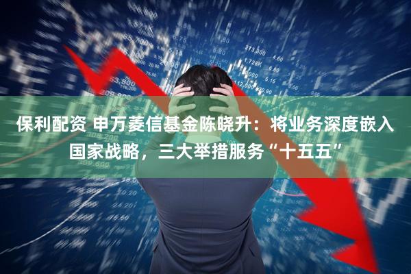 保利配资 申万菱信基金陈晓升：将业务深度嵌入国家战略，三大举措服务“十五五”