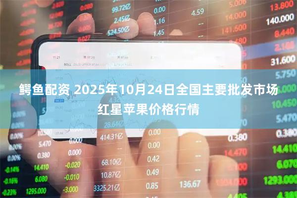 鳄鱼配资 2025年10月24日全国主要批发市场红星苹果价格行情