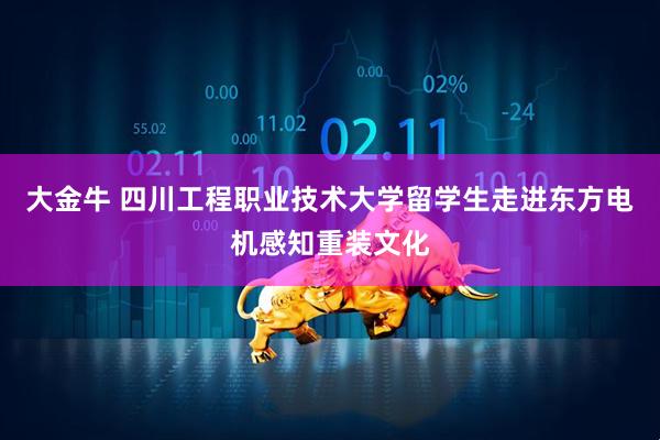 大金牛 四川工程职业技术大学留学生走进东方电机感知重装文化