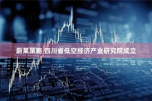 蔚莱策略 四川省低空经济产业研究院成立