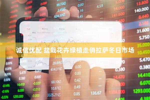 诚信优配 盆栽花卉绿植走俏拉萨冬日市场