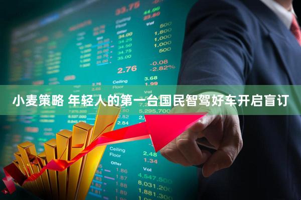 小麦策略 年轻人的第一台国民智驾好车开启盲订