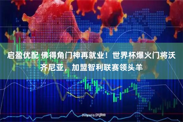 启盈优配 佛得角门神再就业！世界杯爆火门将沃齐尼亚，加盟智利联赛领头羊